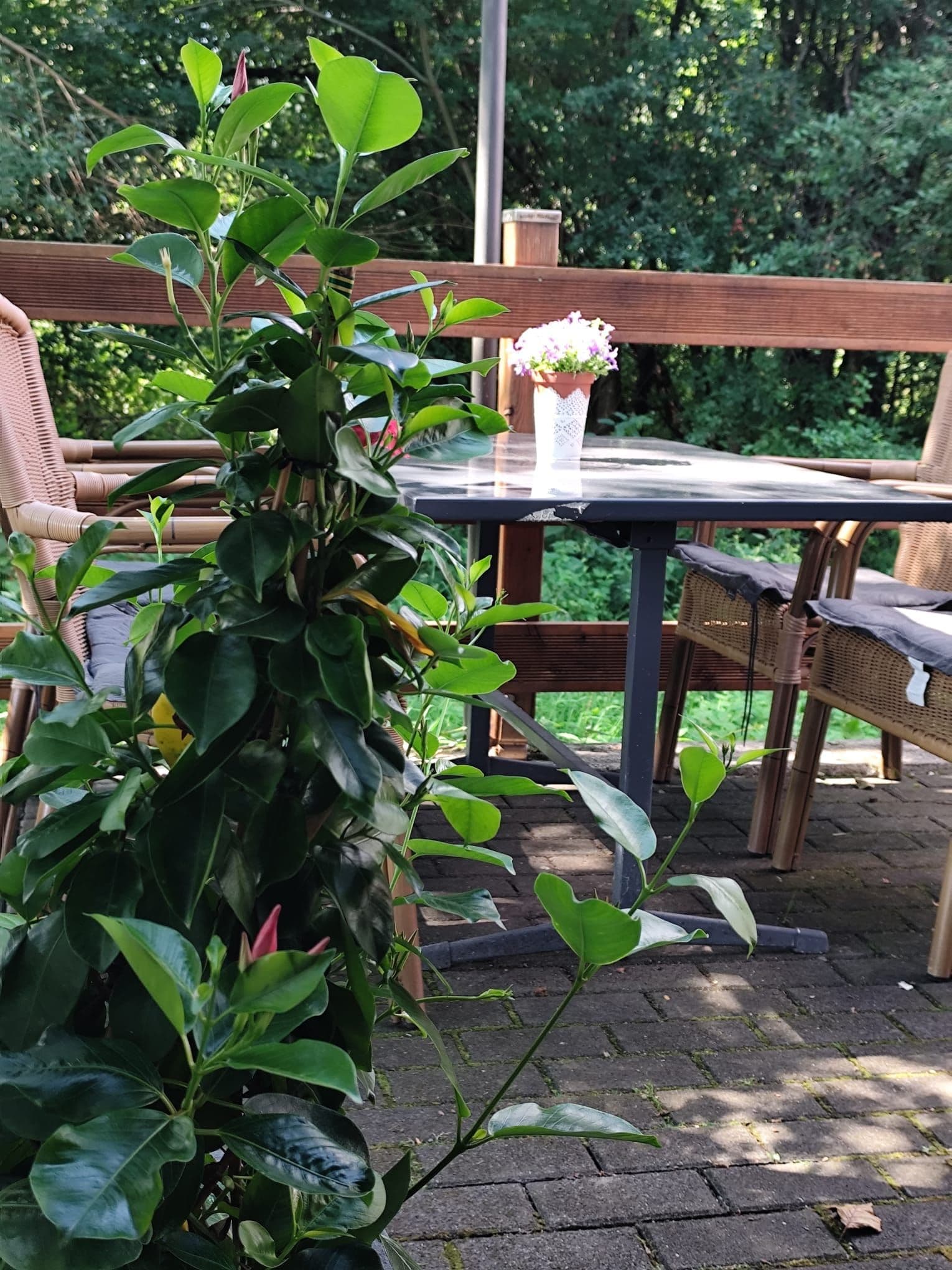Klubhaus des VfL Tönisberg, Außenansicht